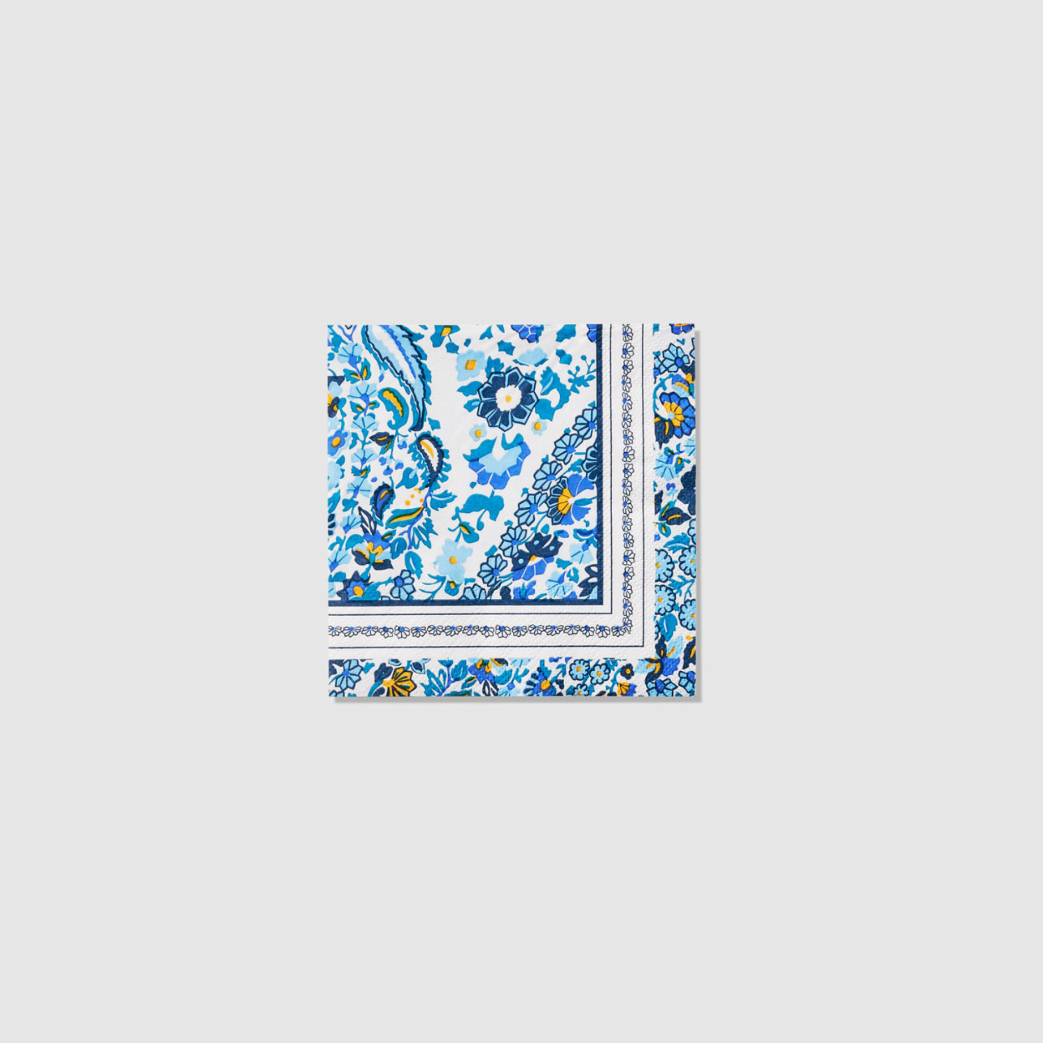 Dreamer Paisley Small Napkins