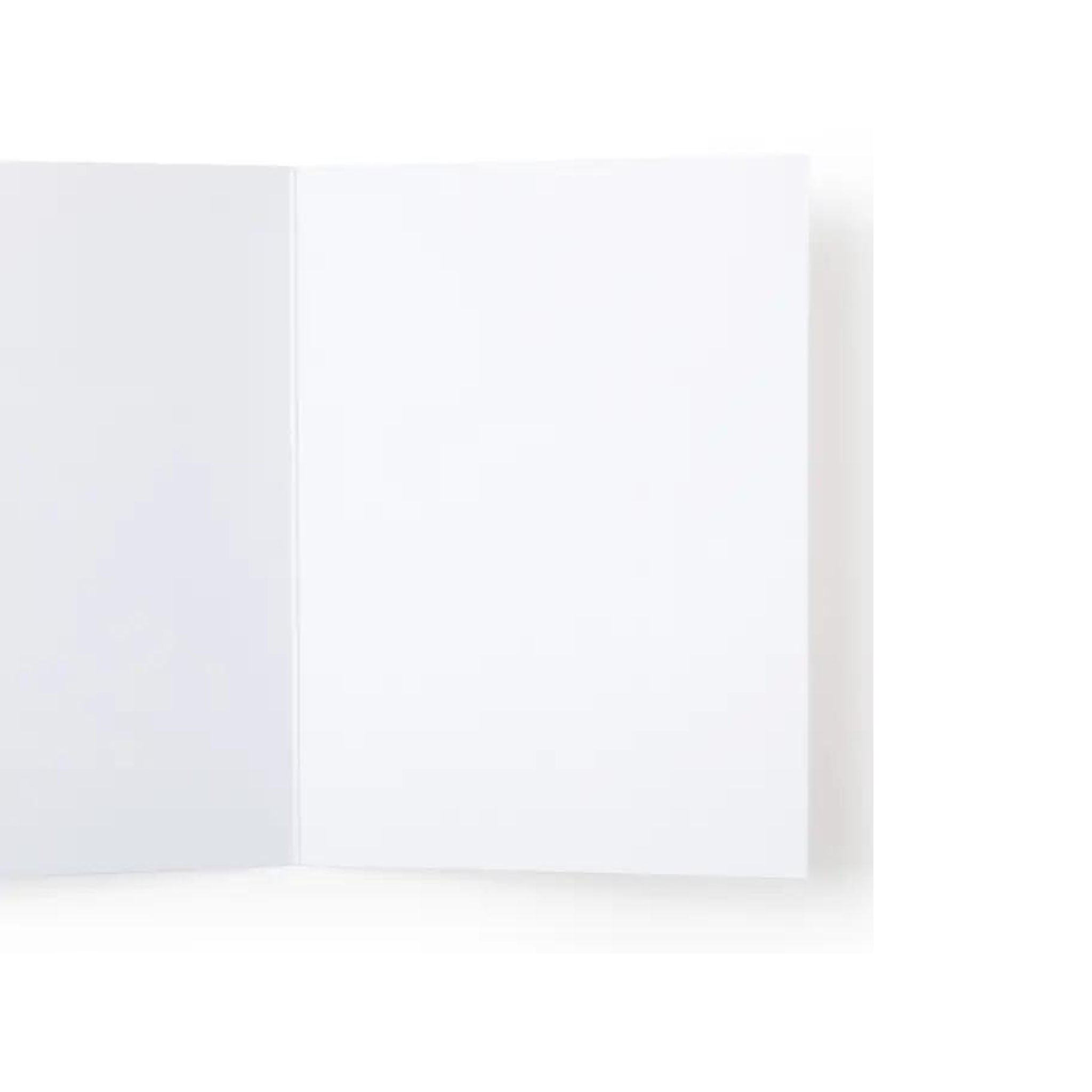 Holy Crap It’s Your Birthday Cat Card