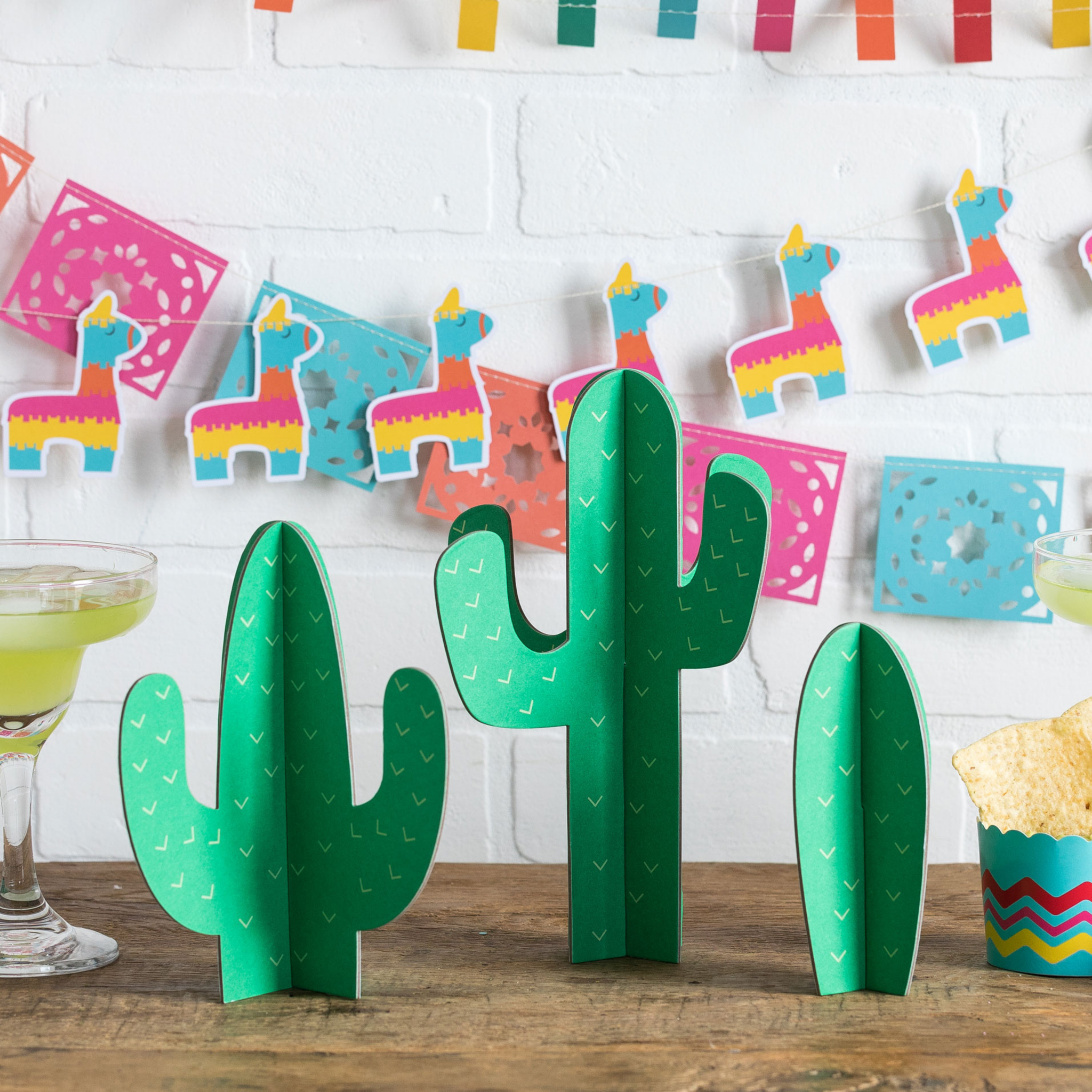 Cactus Fiesta Tabletop Decor