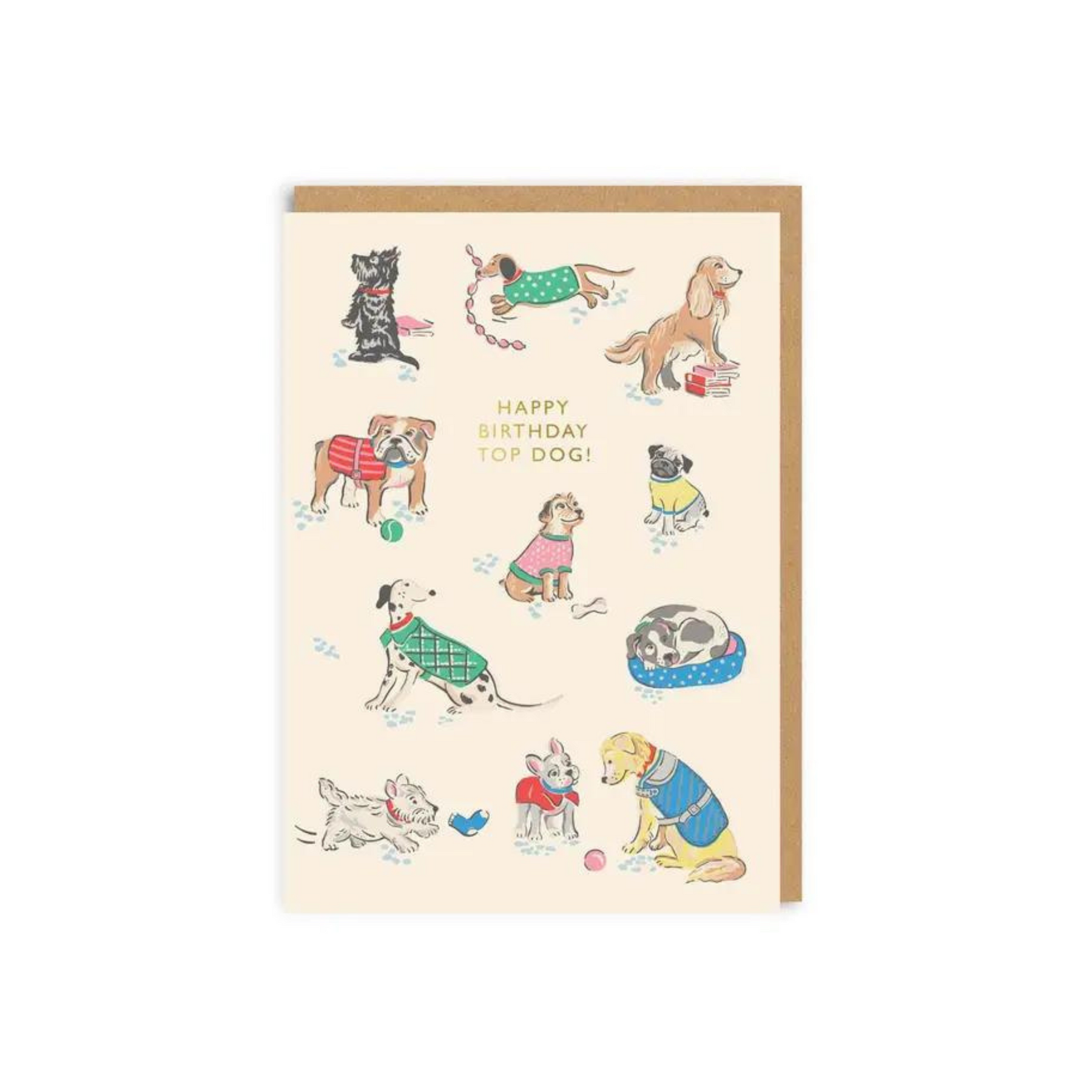 Top Dog Birthday Card