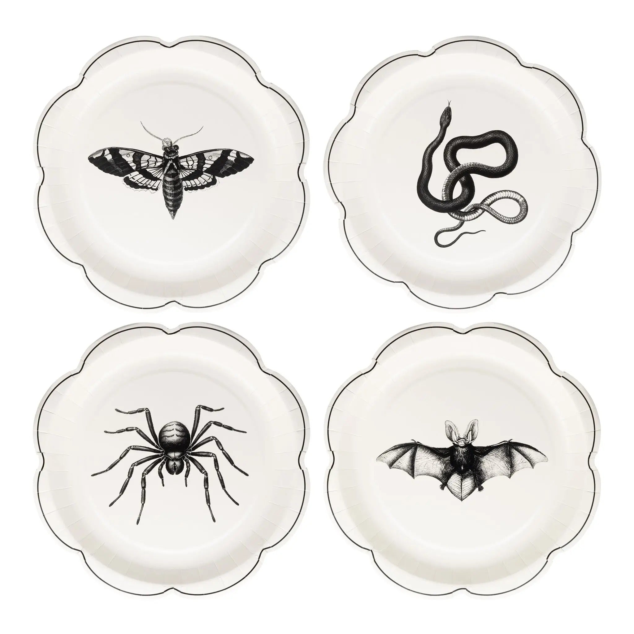 Apothecary Paper Plate Set